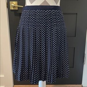 J.Crew Navy and White Polka Dot A-Line Skirt Size 2